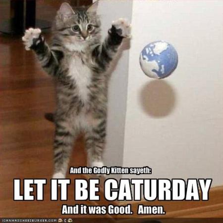 Let it Be Caturday